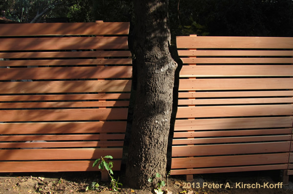 Horizontal REdwood Fence Tree Cutout for growth - Laurel Canyon, CA