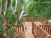 Treehouse deck - serving Pacific Palisades, Malibu, Bel Air, Brentwood