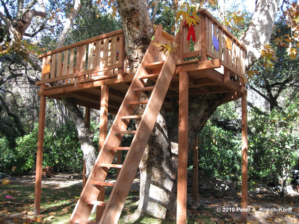 Custom Wooden Treehouse with Ladder Access - Arcadia, Ca