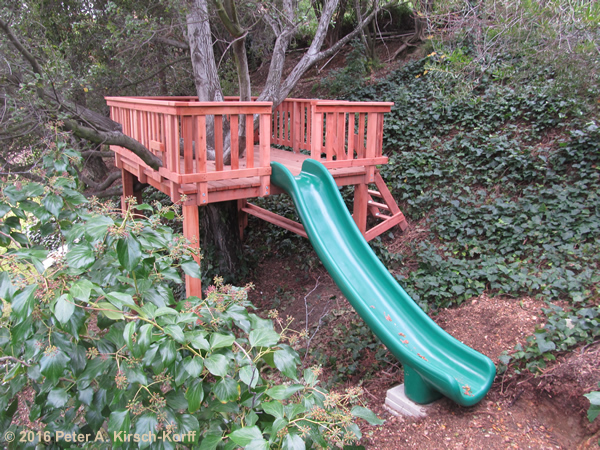 Hillside Redwood Elevated Entertaining Tree Deck with Slide - La Cresenta CA
