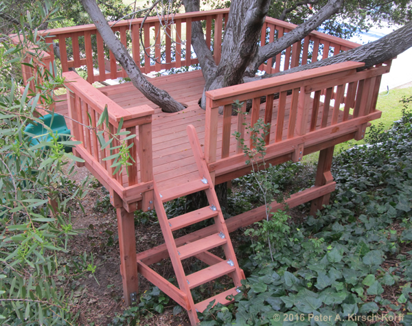 Hillside Redwood Elevated Tree Play Deck with access ladder detail  - La Cresenta CA