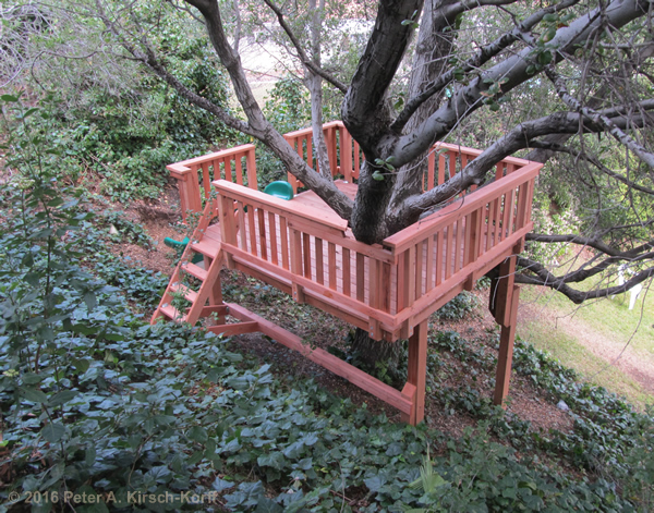 Hillside Redwood Tree Play Deck showing the slope of the hillside - La Cresenta CA