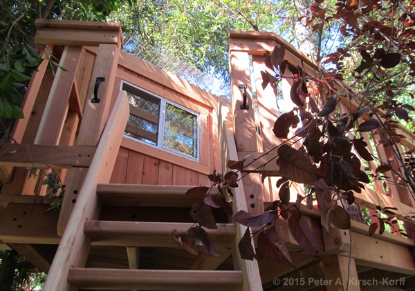 Redwood Tree House in Redwoods with Traditional Clubhouse - Pasadena, CA