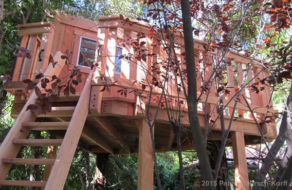 Redwood Tree House in Redwoods with Traditional Clubhouse showing stair-like access ladder and nestled in existing redwood grove - Pasadena, CA