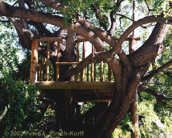Free Standing Rustic Wood Tree House - Los Angeles