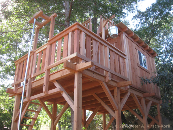Greene & Greene Inspired Redwood Tree House with Traditional Clubhouse, Fireman's Pole and Crow's Nest - Pasadena, CA
