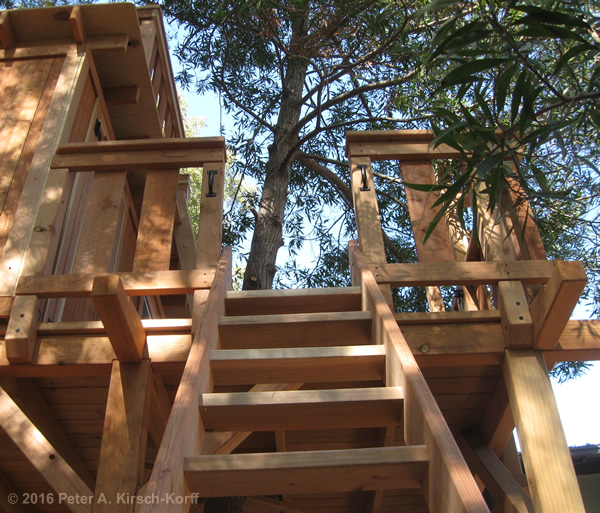 Greene & Greene Inspired Tree House view of halfway up the angled ladder of the treehouse - Pasadena, CA