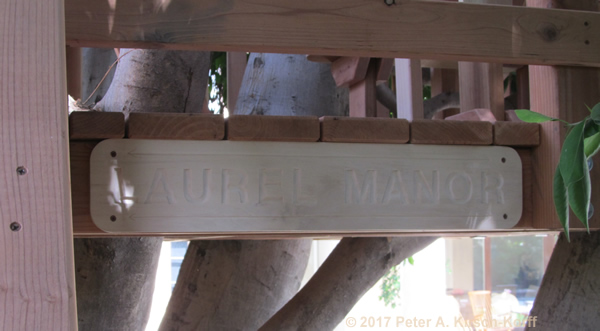 Double Decker Treehouse (detail of custom carved panel) - West LA, CA