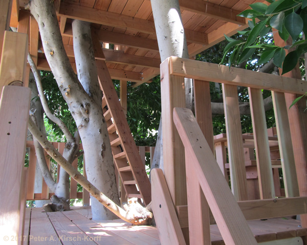 Double Decker Treehouse (view of Level 1) - West LA, CA